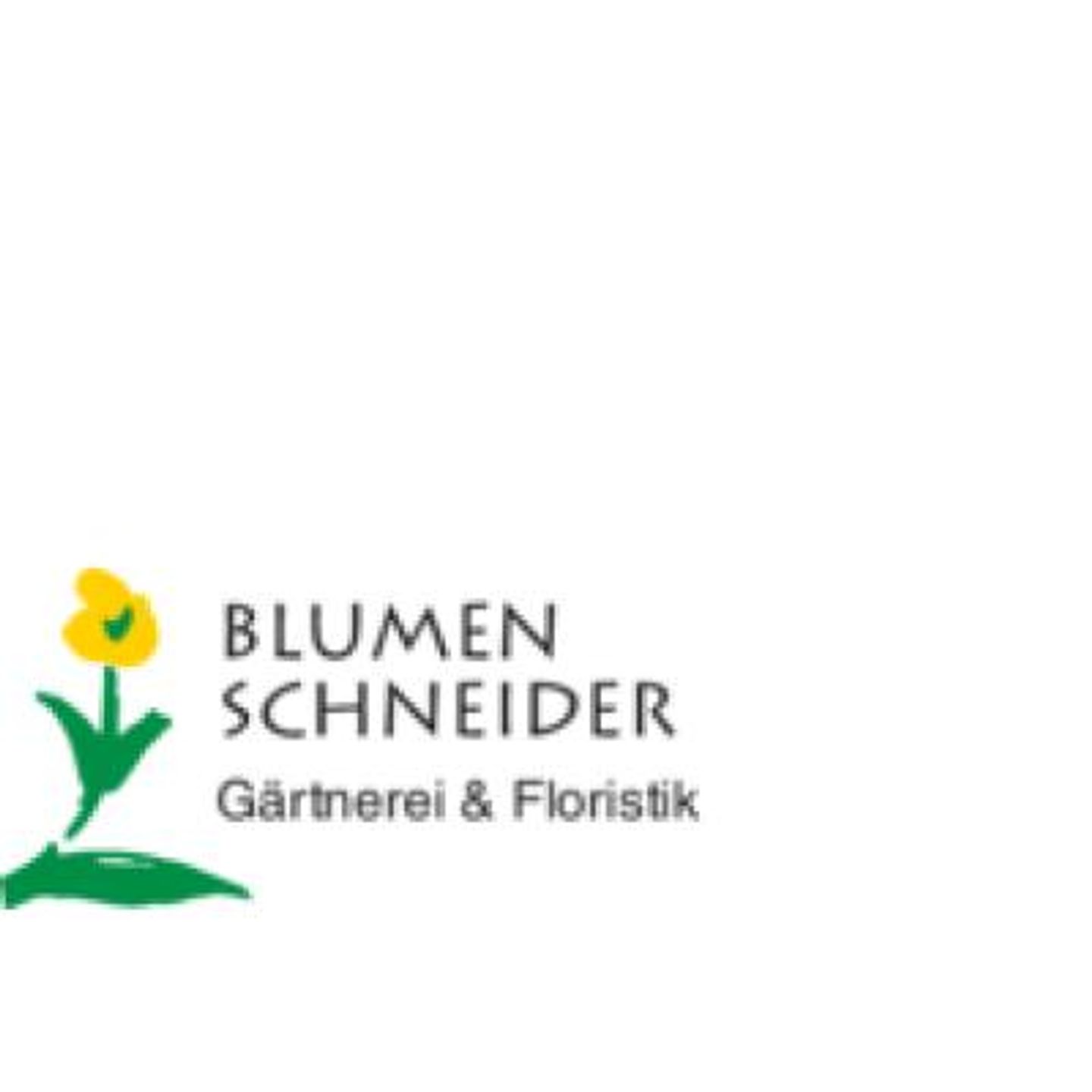 Logo der Firma Blumen Schneider aus Volkach