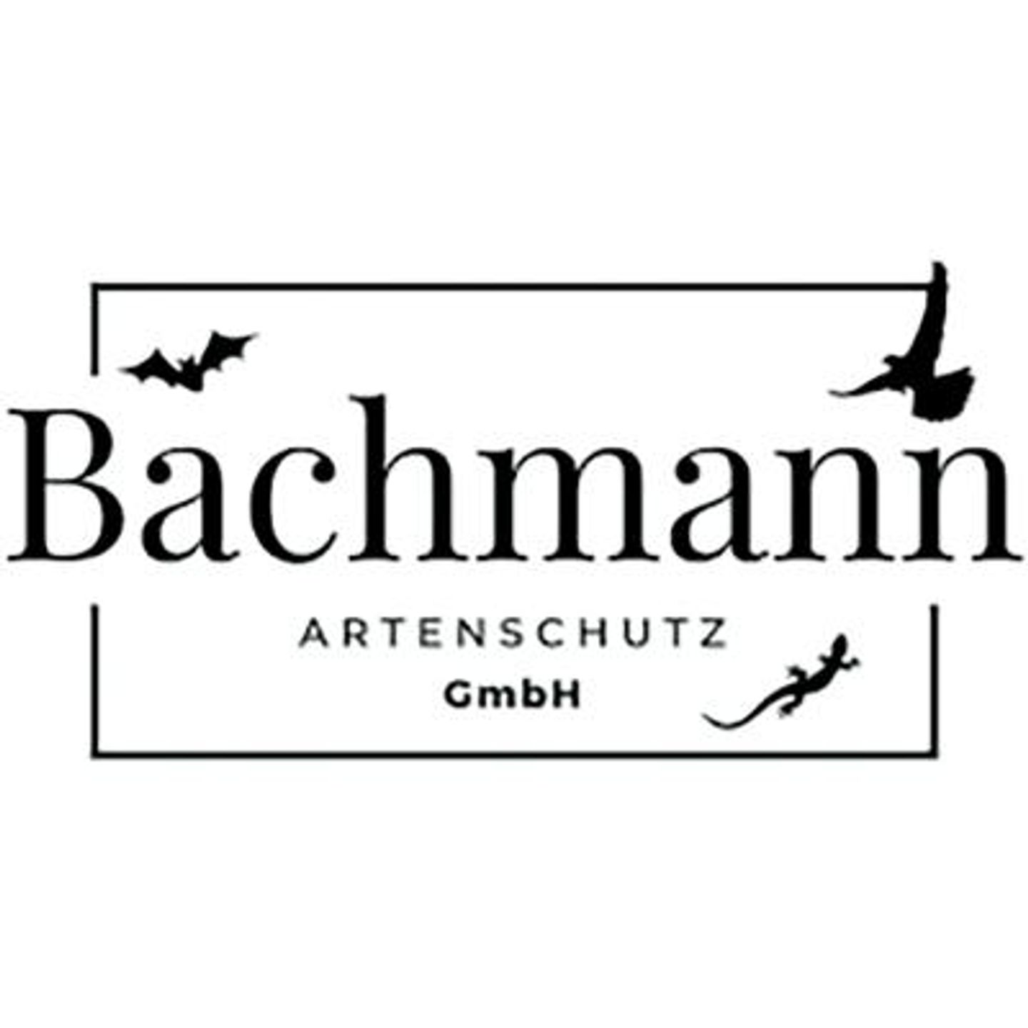 Logo der Firma Bachmann Artenschutz GmbH aus Ansbach