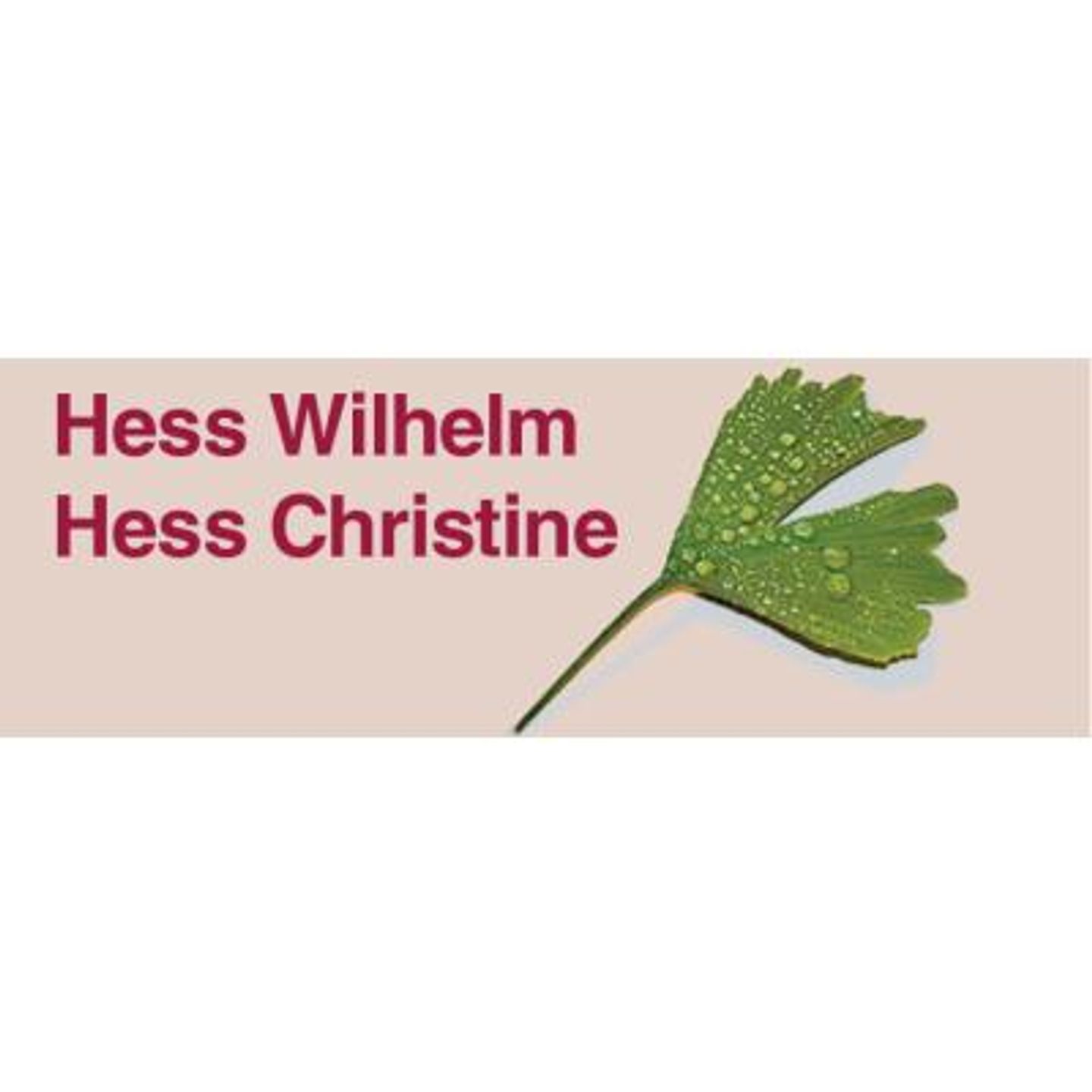 Logo der Firma Naturheilpraxis Christine und Wilhelm Hess aus Miltenberg