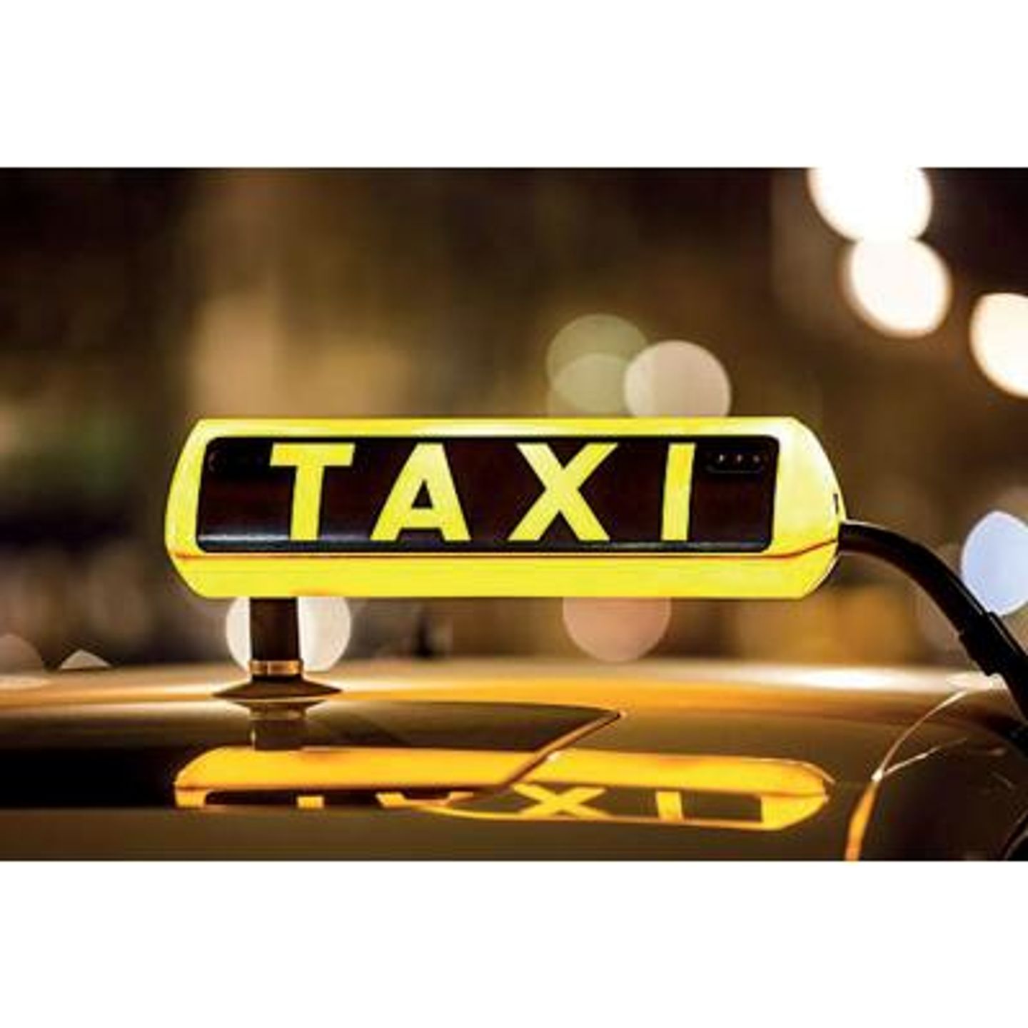 Logo der Firma Taxi Stefan Chemnitz aus Chemnitz