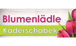 Logo der Firma Blumen Kaderschabek aus Reichenberg