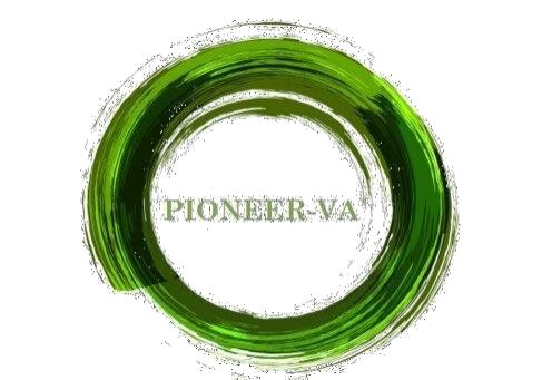 Logo der Firma PIONEER-VA Energieberatung aus Ingolstadt