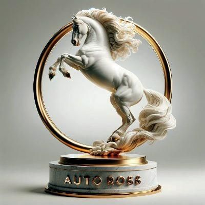 Logo der Firma AUTOROSS KfZ Zulassungsdienst GmbH aus Leipzig