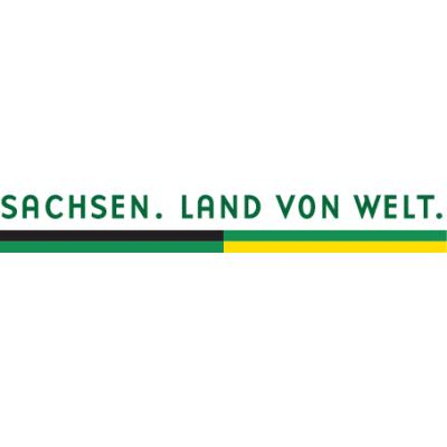 Logo der Firma TMGS Tourismus Marketing aus Dresden