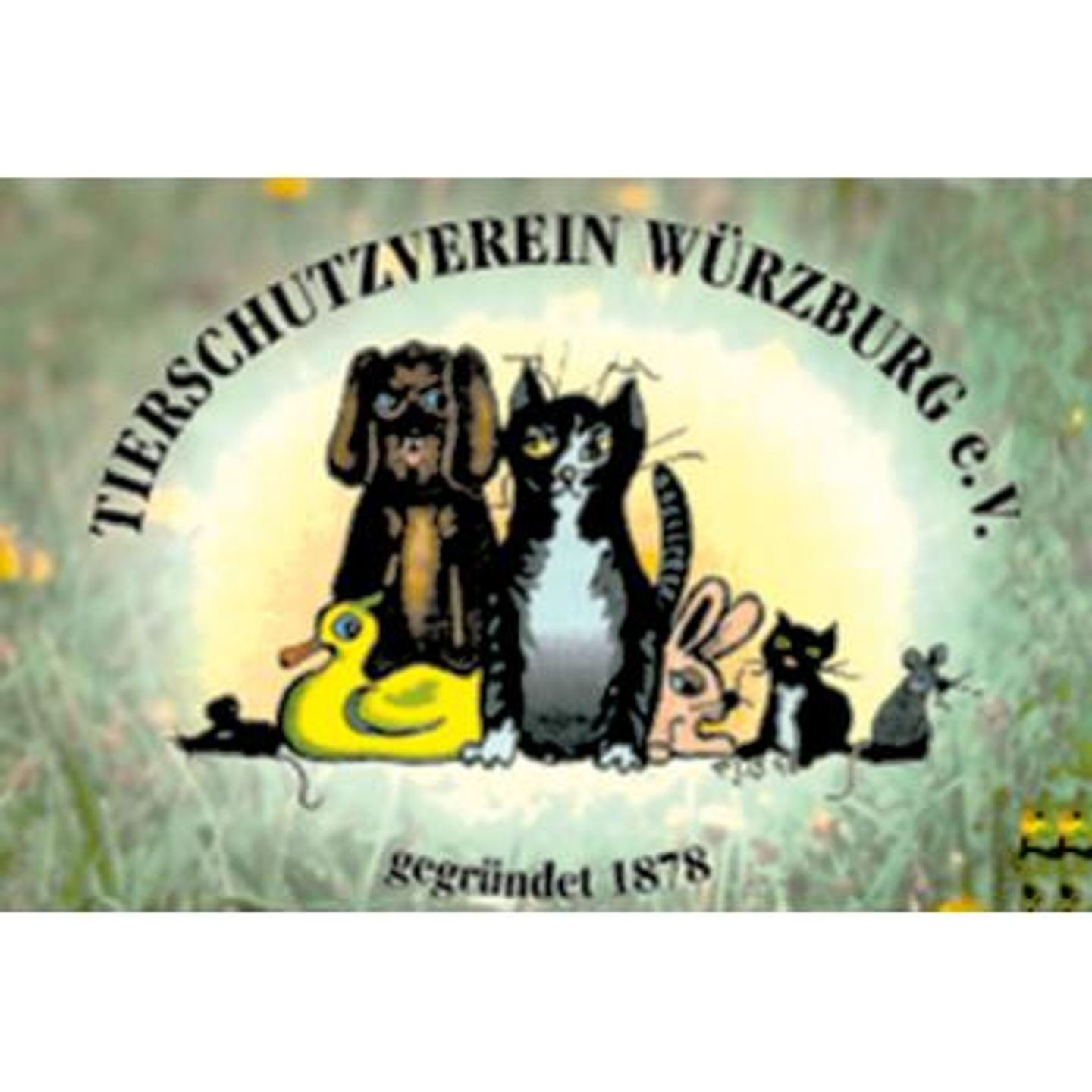 Logo der Firma Tierschutzverein Würzburg e.V. aus Würzburg