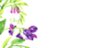 Logo der Firma Blumen - Nösner aus Gilching