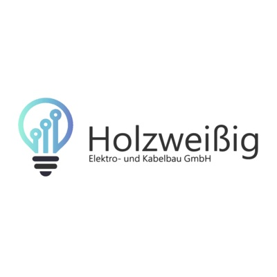 Logo der Firma Holzweißig Elektro und Kabelbau GmbH aus Leipzig