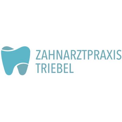Logo der Firma Zahnarztpraxis Triebel aus Selb