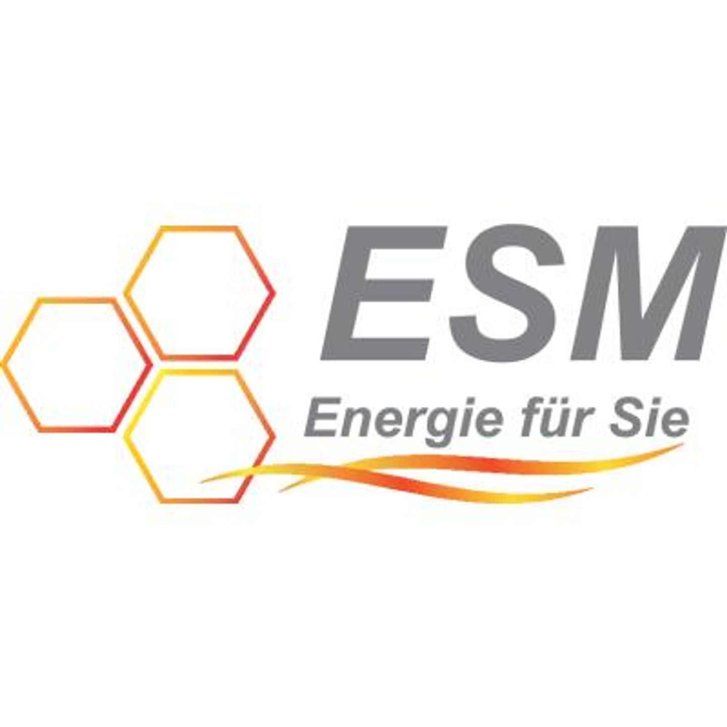 Logo der Firma Energieversorgung Selb-Marktredwitz GmbH aus Selb