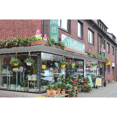 Logo der Firma Blumen Tümmers aus Oberhausen