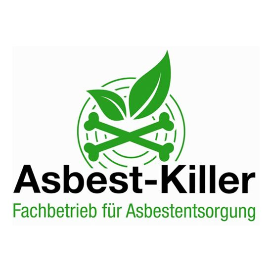 Logo der Firma Borchers Asbestkiller aus Salzgitter