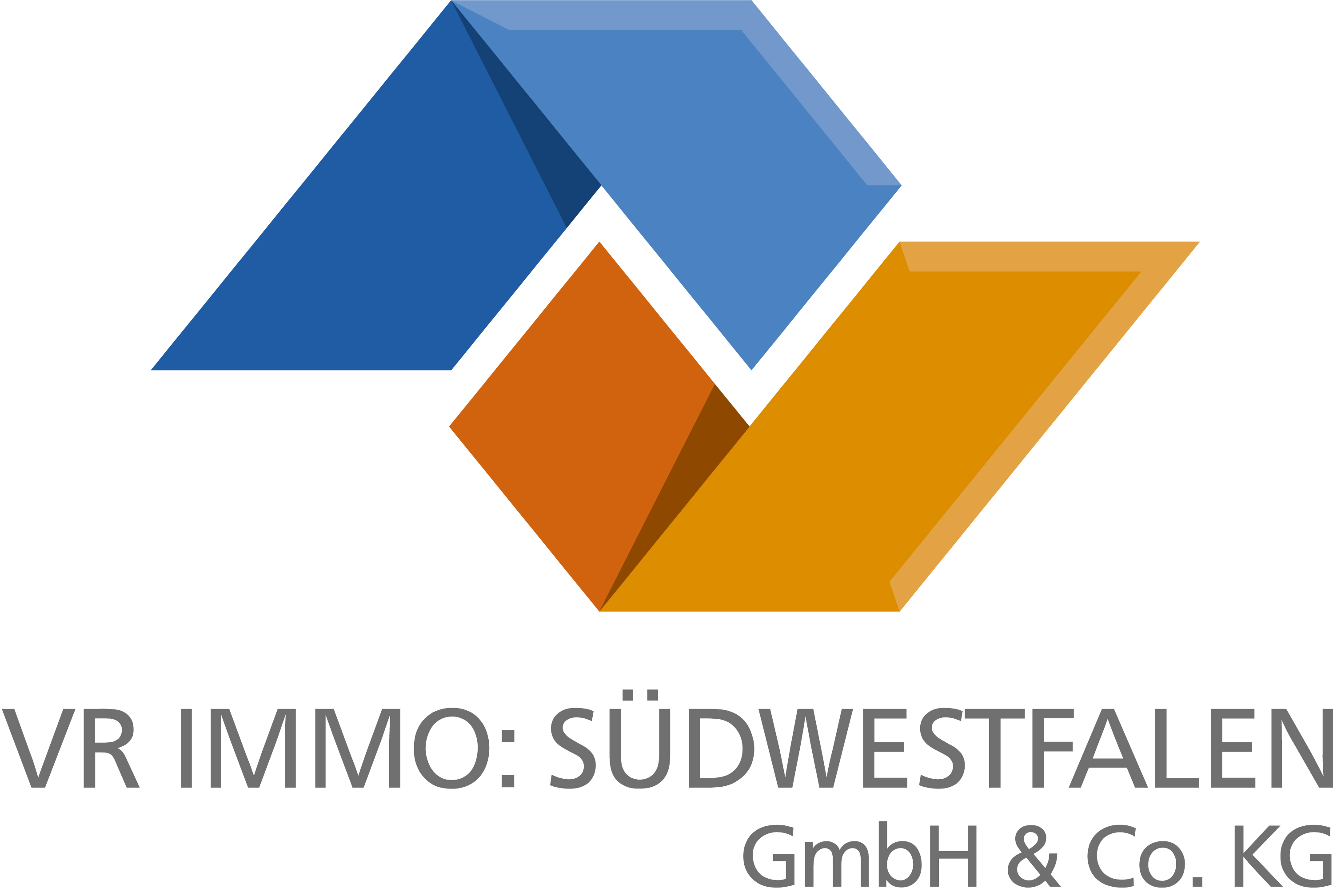 Logo der Firma VR Immo: Südwestfalen GmbH & Co. KG aus Lüdenscheid