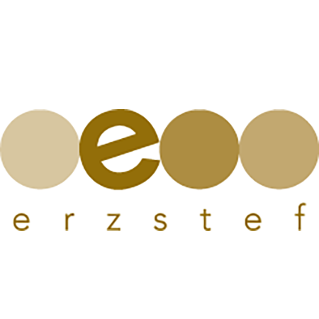 Logo der Firma Erzstef Erzgebirgische Steppdeckenfabrik GmbH aus Ehrenfriedersdorf