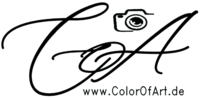 Logo der Firma Color Of Art, Kunst & Fotografie aus Dresden