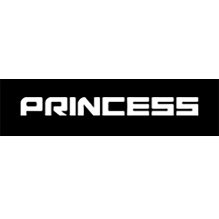 Logo der Firma PRINCESS - Fitness und Wellness für die Frau aus Ingolstadt