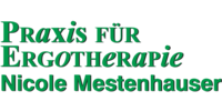 Logo der Firma Ergotherapie Nicole Mestenhauser aus Crossen