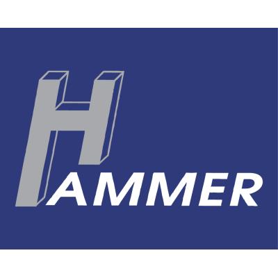 Logo der Firma Hammer Industrieanlagen- und Werkzeugmaschinen-Vertrieb GmbH aus St. Egidien
