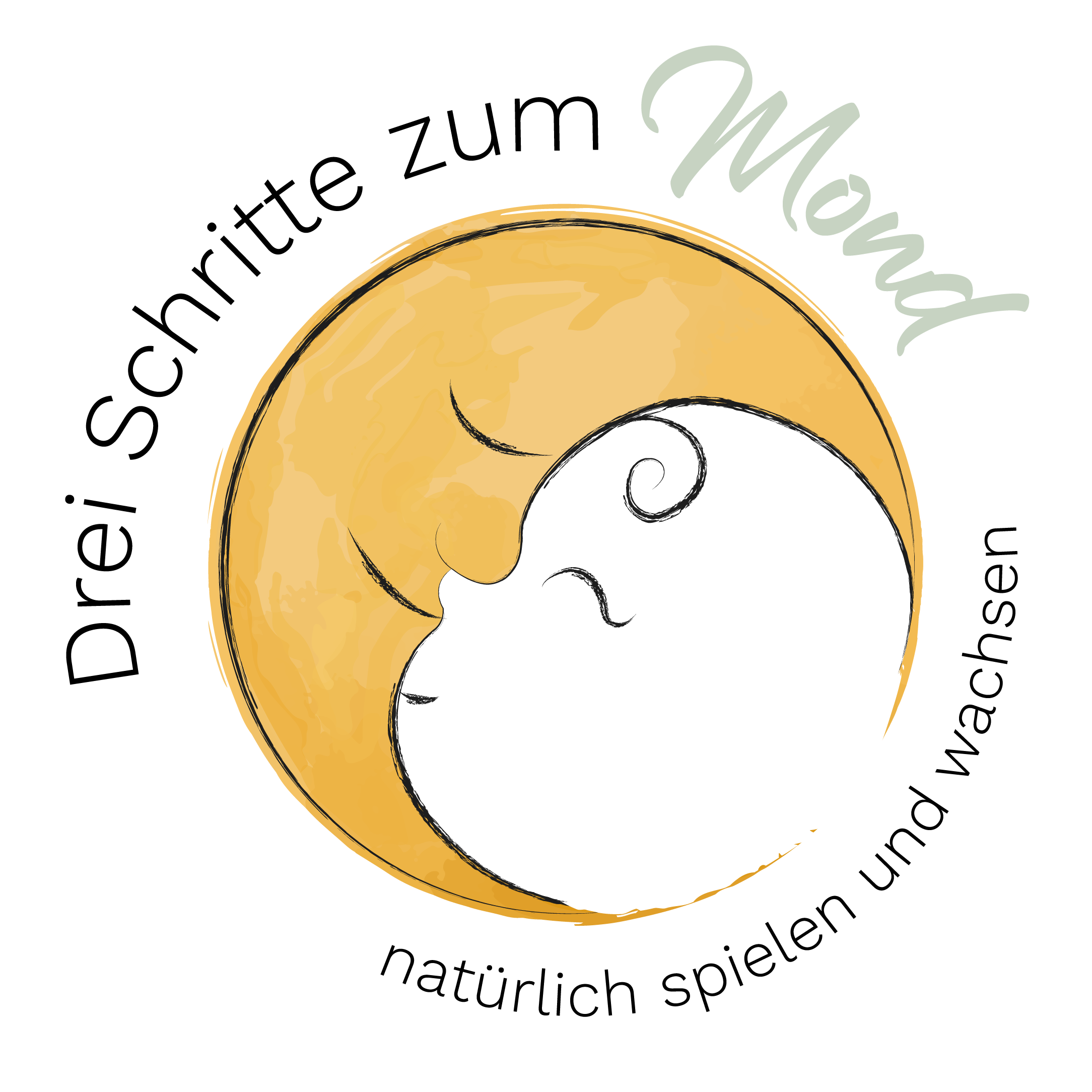 Logo der Firma Drei Schritte zum Mond aus Kiel